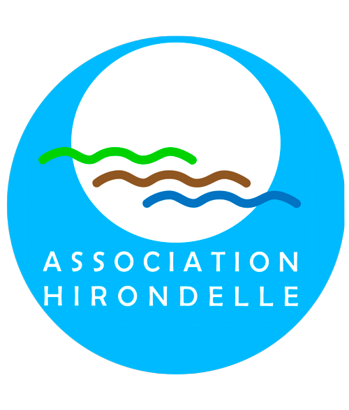 Hirondelle